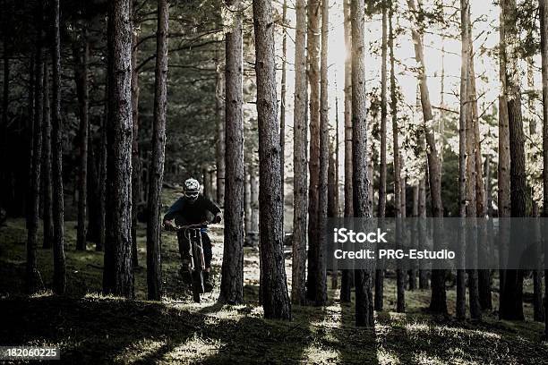 Freerider - zdjęcia stockowe i więcej obrazów Aktywny tryb życia - Aktywny tryb życia, Bezpieczeństwo, Bicykl
