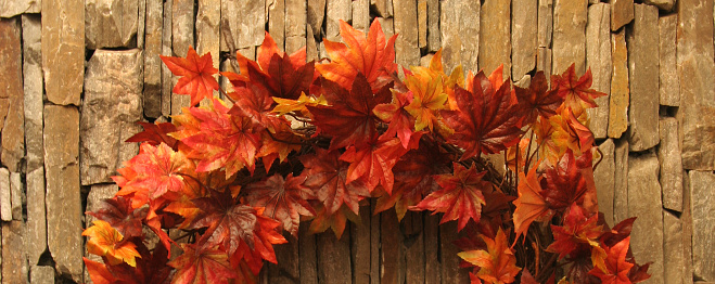 Ring of Fall Maple Leaves on Stone Wall.