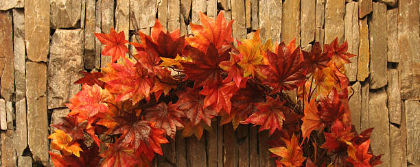 Fall Leaves on Stone Ring of Fall Maple Leaves on Stone Wall. thanksgiving holiday hours stock pictures, royalty-free photos & images