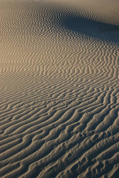 Dunes 3 stock photo