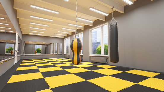 Martial arts training room. 3d illustration
