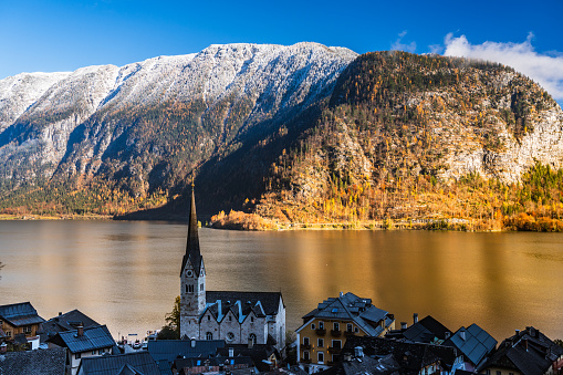 season changing from fall to winter at lake Hallstatt, famous village, calm water, mountains with autumn leaf colored larch trees and some snow on sunny day with blue sky