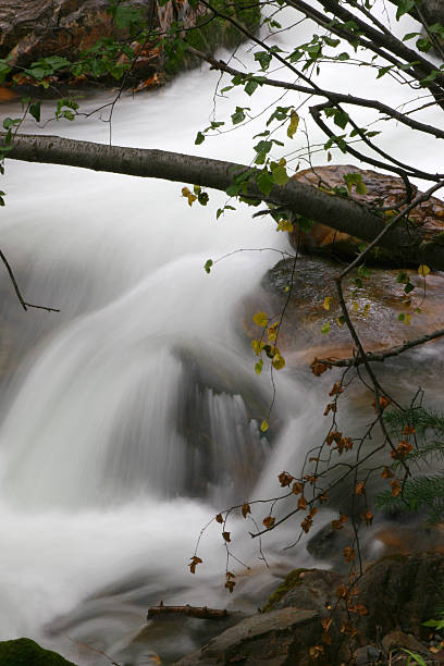 Mountain Stream in Early Autumn stock photo