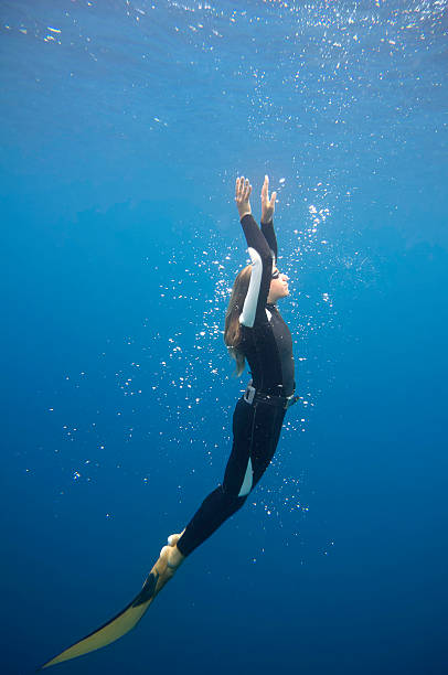 femmina libera tuffatore - competitive sport competition swimming wetsuit foto e immagini stock