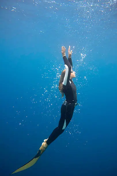 Female free diver moving up
