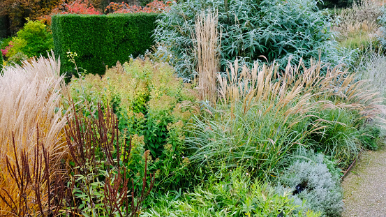 Landscape bed of garden with wave ornamental growth cypress bushes gravel mulch by color rock way on a day spring park with green lawn meadow, nobody.