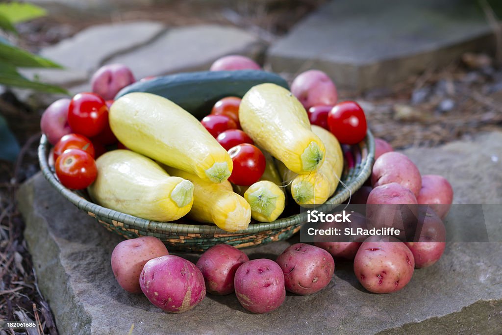 Verdure fresche di giardino imbottitura e circondano un cesto. - Foto stock royalty-free di Alimentazione sana