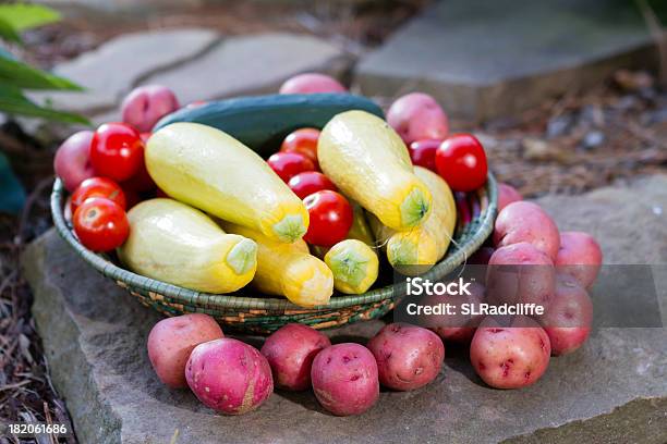 Verdure Fresche Di Giardino Imbottitura E Circondano Un Cesto - Fotografie stock e altre immagini di Alimentazione sana