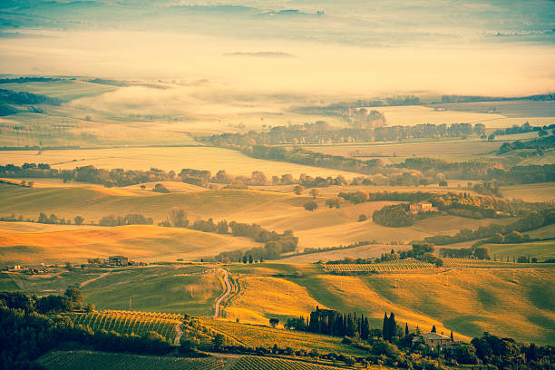 istock Beautiful Tuscany Hills at Sunrise, Val d'Orcia 182062292