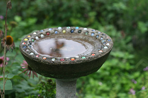 decorative concrete bird baths holding rain water