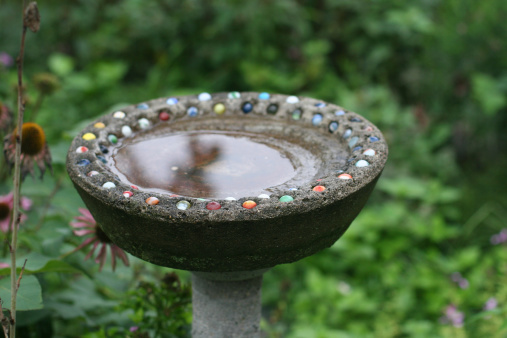 Old concrete birdbath with colorful embedded marbles after a rain.