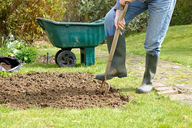 istock Caucasian Gardener Forking A Vegetable Patch In the Garden 182062476