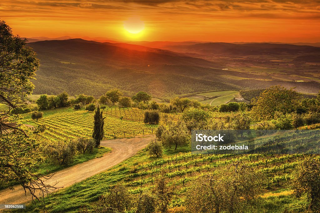 Paisaje de viñedos de Toscana al atardecer, región de Chianti, Val d'Orcia - Foto de stock de Región de Chianti libre de derechos