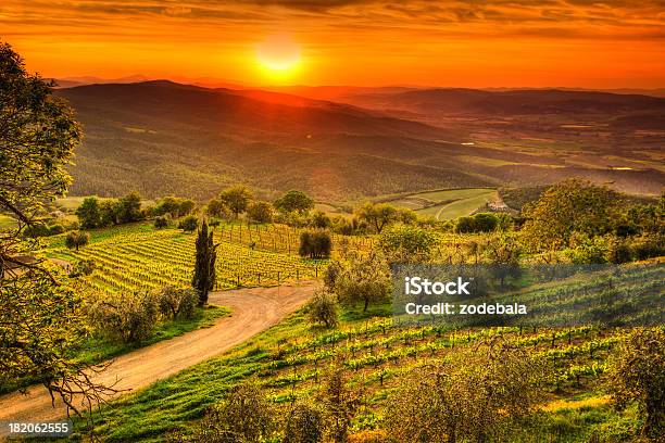 Toskania Krajobraz Z Winnic W Zachód Słońca Region Chianti Val Dorcia - zdjęcia stockowe i więcej obrazów Region Chianti