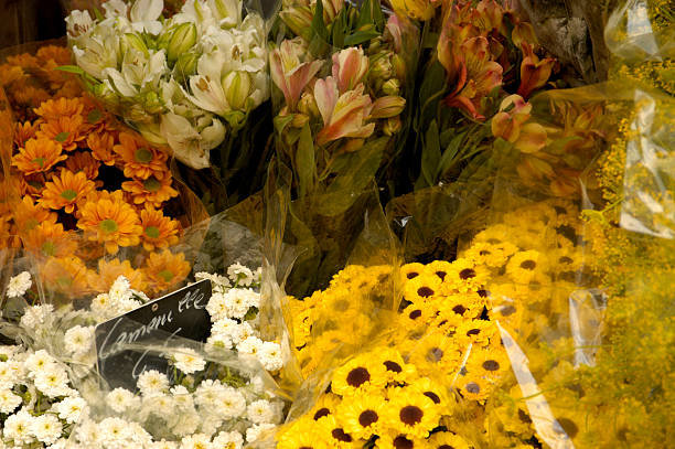 istock Floral display in Paris, France. 182062592