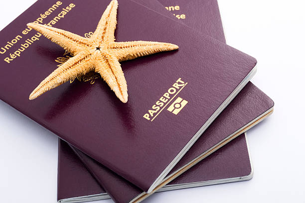 istock Starfish on the Passport , Vacation Concept 182062713