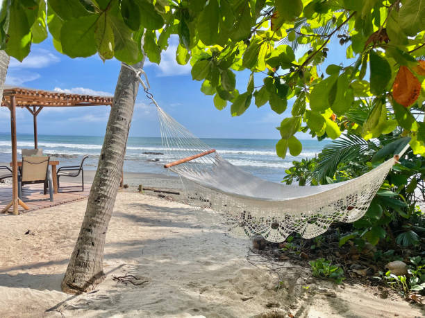 istock Hammock on Costa Rica Coast 1820630989