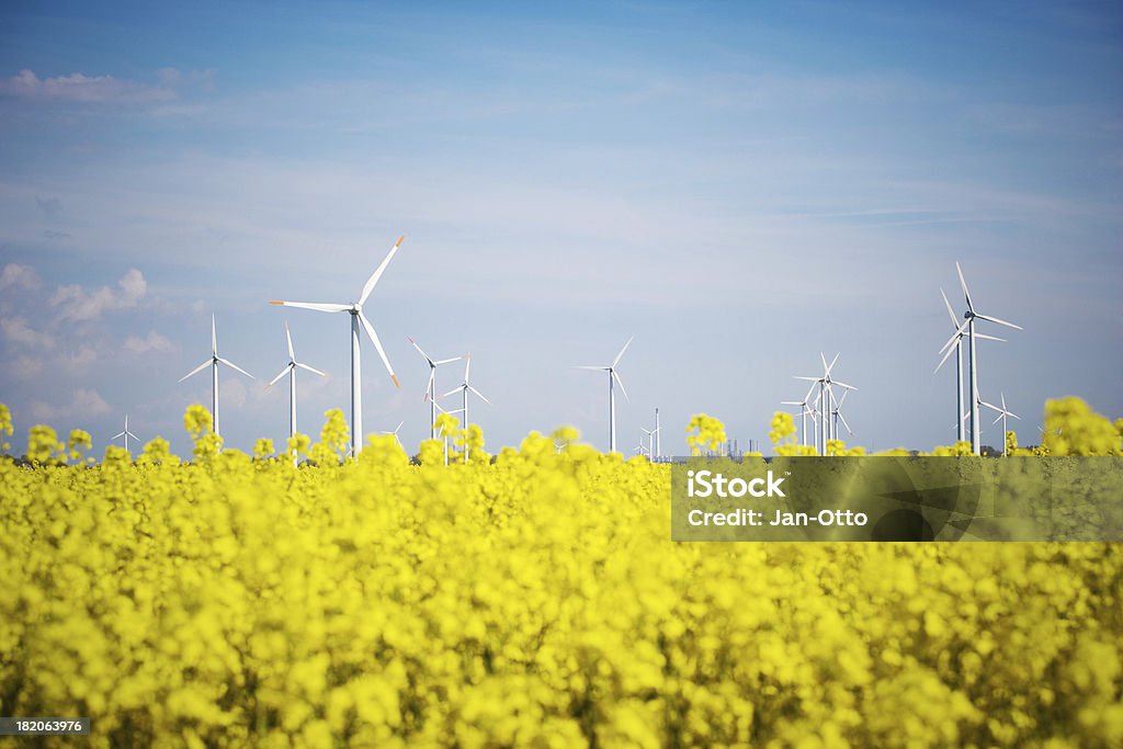 Windmühlen und raps - Lizenzfrei Windkraftanlage Stock-Foto