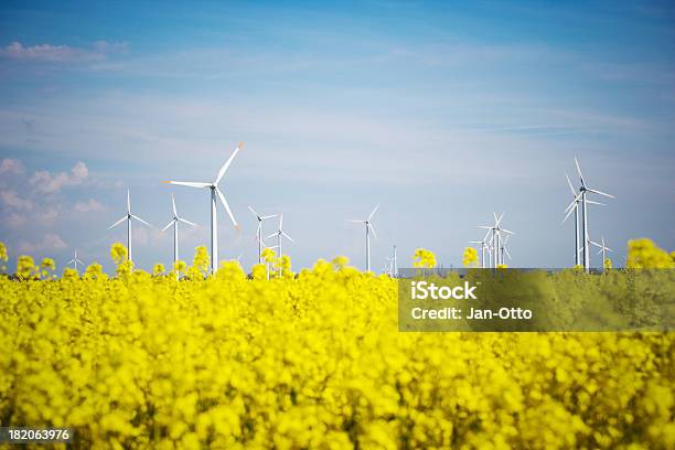 Windmühlen Und Raps Stockfoto und mehr Bilder von Windkraftanlage - Windkraftanlage, Windenergie, Raps