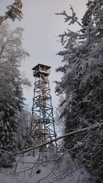 istock Lookout tower in a snow-covered forest. 1820641039