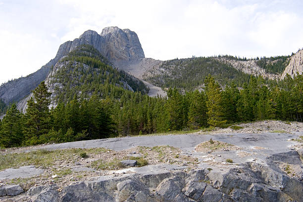 메마른 - rockie mountains 이미지 뉴스 사진 이미지