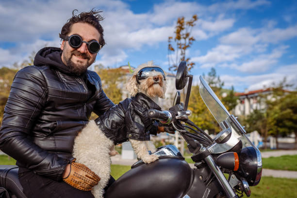 Millennial man and his dog riding motorcycle