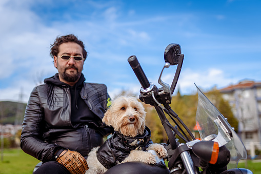 Millennial man and his dog riding motorcycle