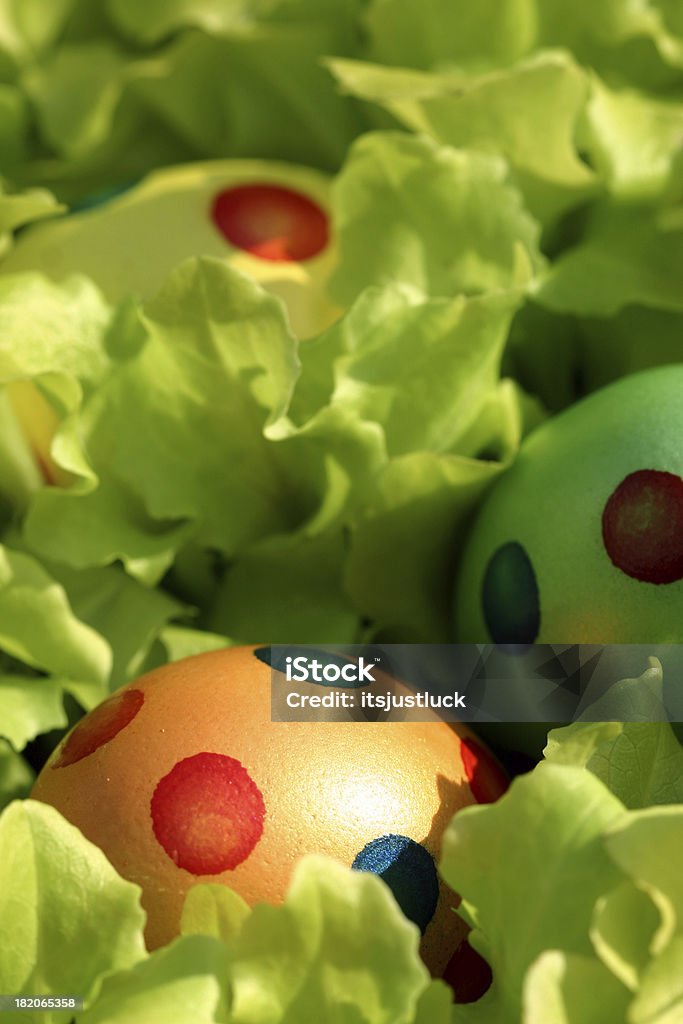 Сад пасхальные яйца - Стоковые фото Апрель роялти-фри