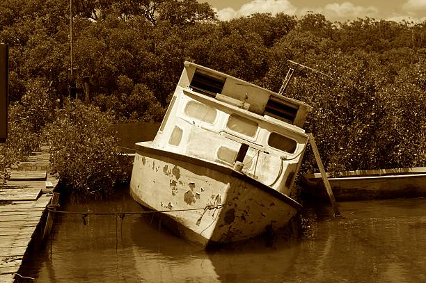 Neglected boat - sepia Neglected boat - sepia stetner stock pictures, royalty-free photos & images