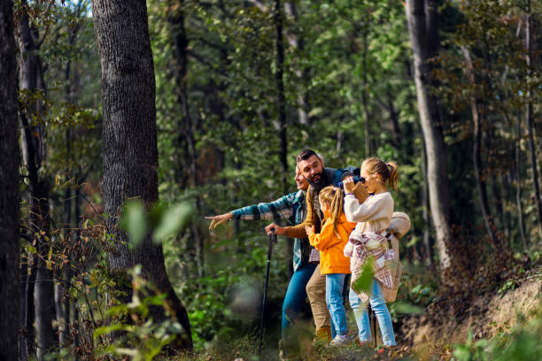 istock Smiling family of four exploring nature while hiking in forest. 1820655224