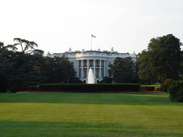 istock The White House at dusk 182066013