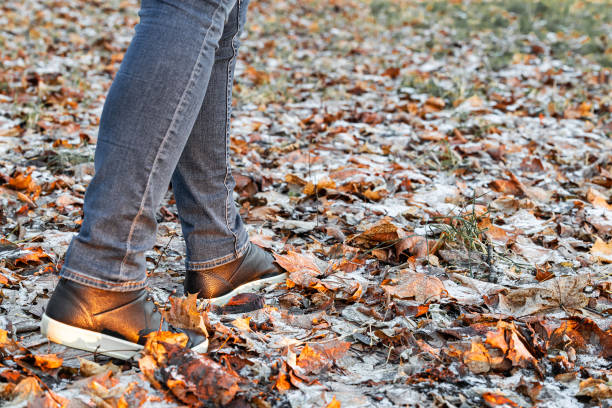 a man walks through the autumn leaves covered with snow. late autumn. first snow. High quality photo
