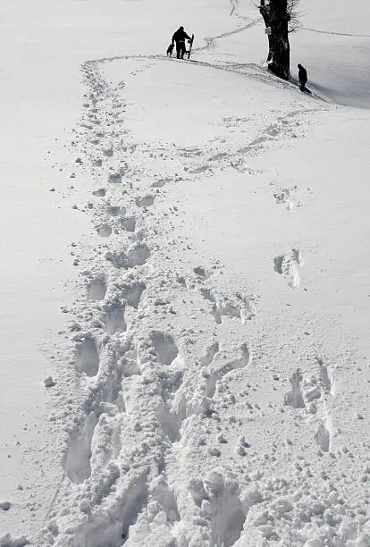 Photo of snow track