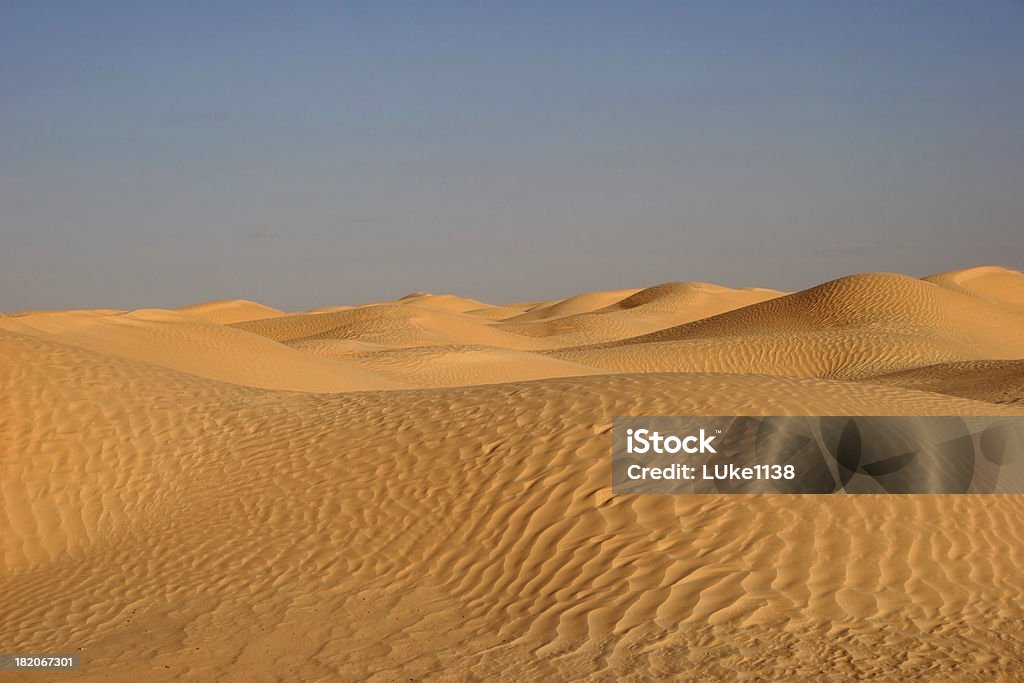 Sahara - Foto de stock de Areia royalty-free
