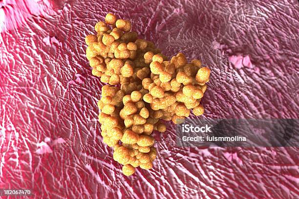 Foto de Material Sintético e mais fotos de stock de Bactéria - Bactéria, Ciência, Clonagem