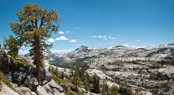 Looking east toward Tenaya Peak, Tenaya Lake, and the Yosemite high country from a ridge west of Olmsted Point,  Yosemite National Park, California. See also: