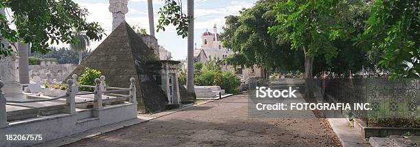 Cimitero Havana - Fotografie stock e altre immagini di Albero - Albero, America Latina, Architettura