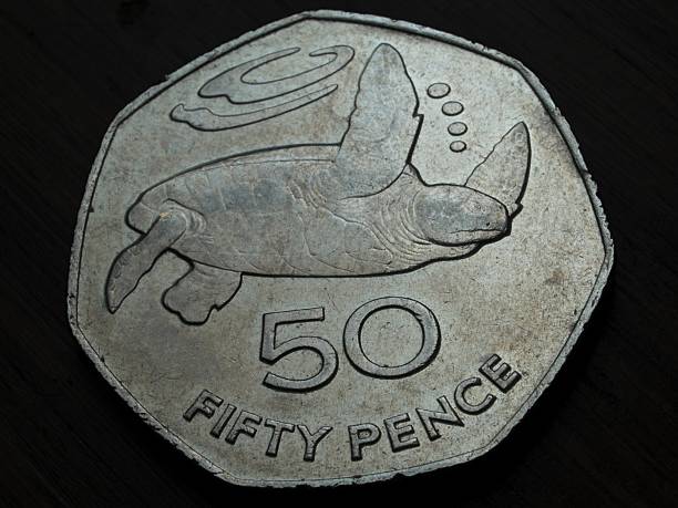 아세손 도서지역 50 펜스 동전 - fifty pence coin coin british coin number 50 뉴스 사진 이미지