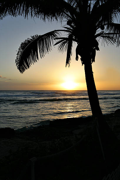 ハワイの夕日 ストックフォト