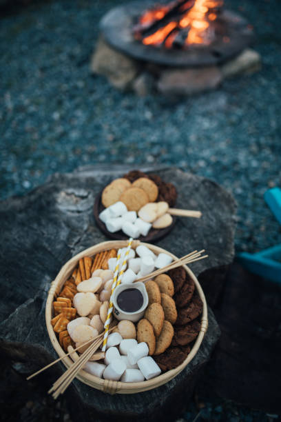istock Marshmallows for roasting on a tray with campfire on the background. 1820680985