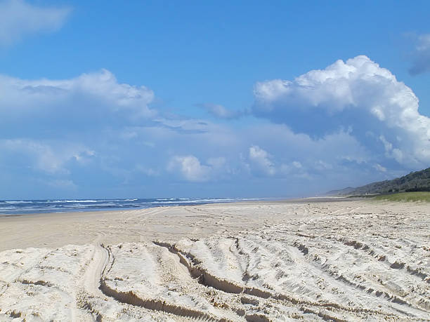 Tyretracks on the beach stock photo