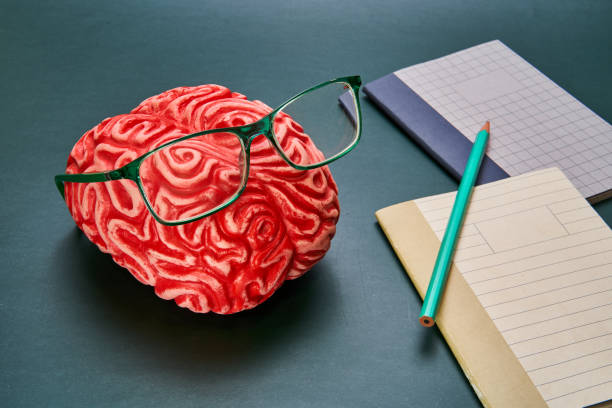 istock The study of the brain. 1820686755