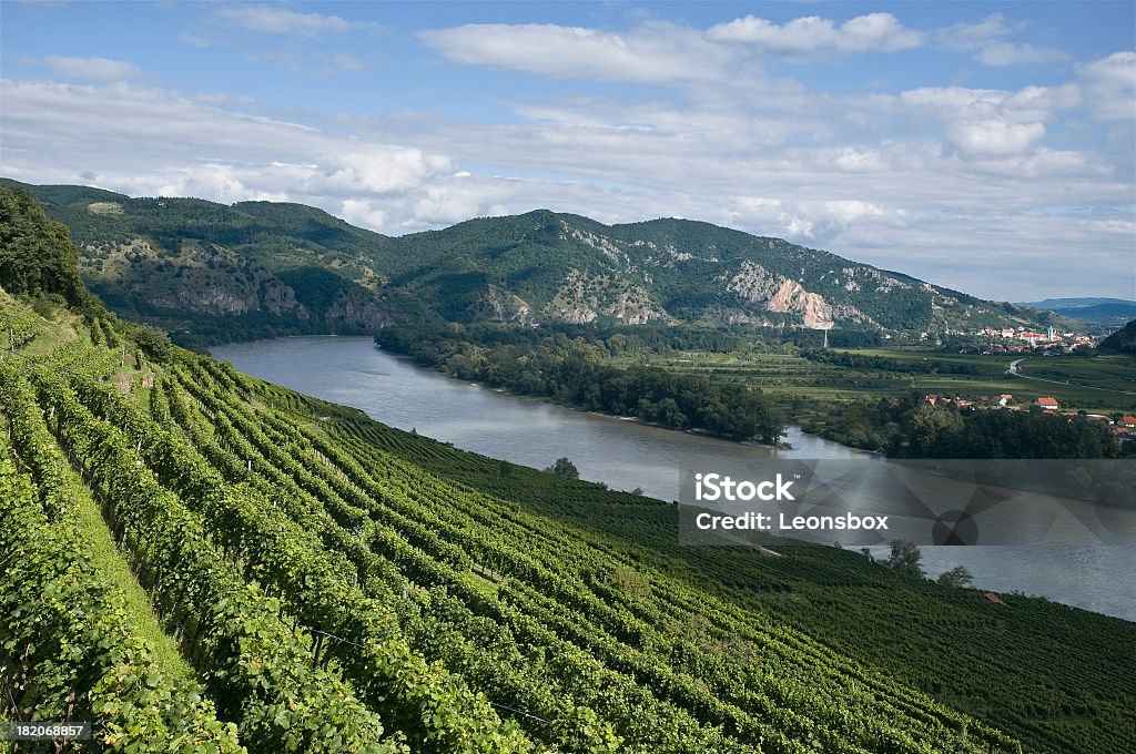 Wachau - Photo de Agriculture libre de droits