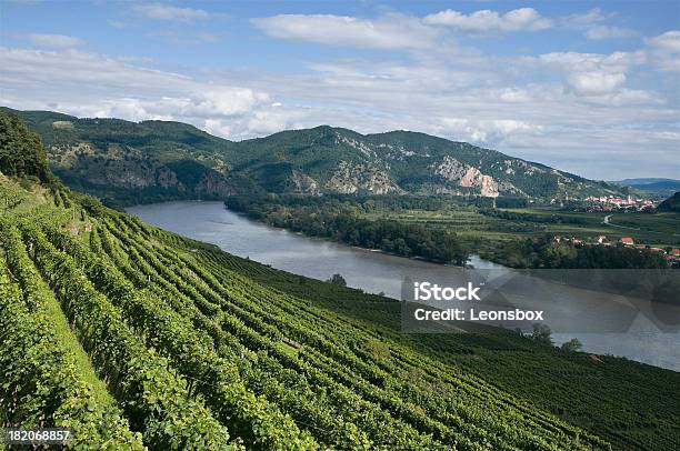 Wachau — стоковые фотографии и другие картинки Австрия - Австрия, Без людей, Виноградник