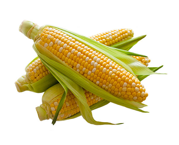 pannocchia - corn on the cob immagine foto e immagini stock
