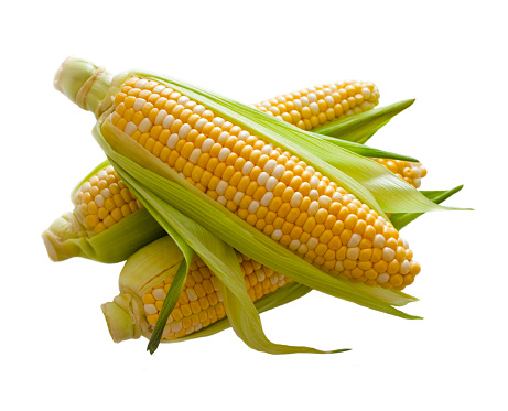 Ear of corn with husk. Isolated on white.