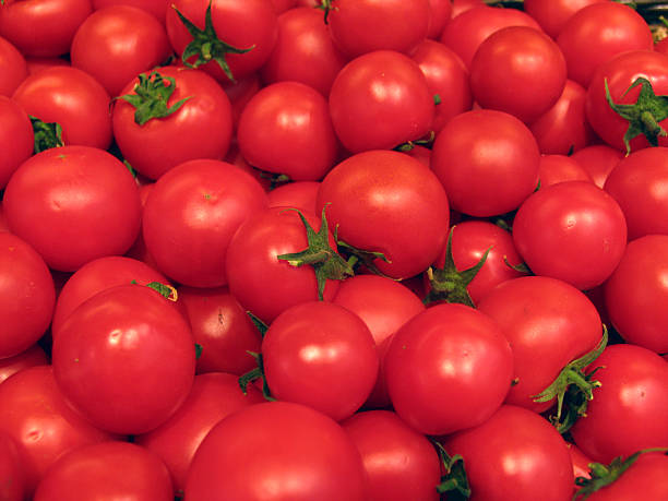 Tomatos - fotografia de stock