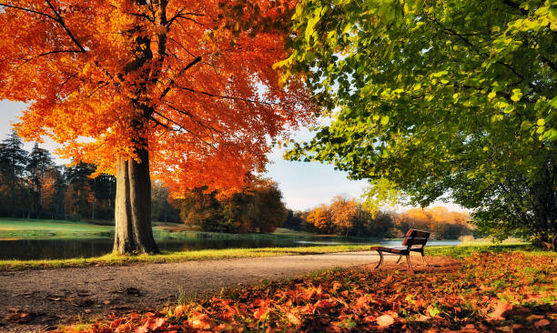 istock The colours of the fall 1820724040