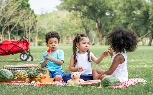Group of four mixed race African and caucasian little cute kids sitting, playing in outdoor green park for picnic, eating fruit, watermelon, pineapple with freshness. Education and Diversity Concept