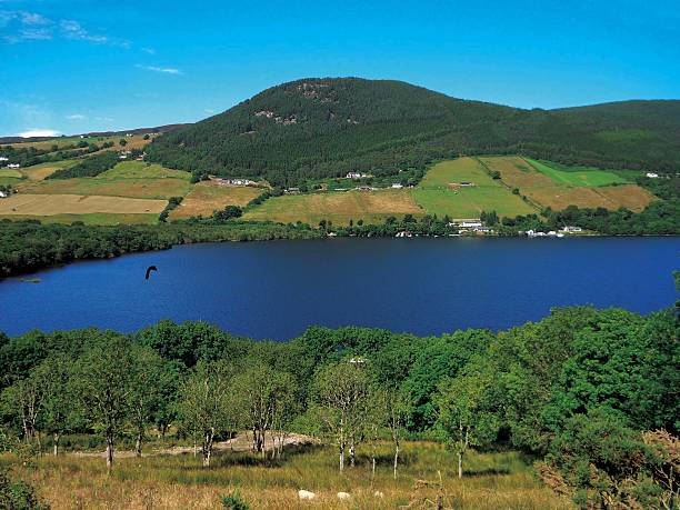 loch ness monster & la scozia - scotland loch ness inverness fort augustus foto e immagini stock